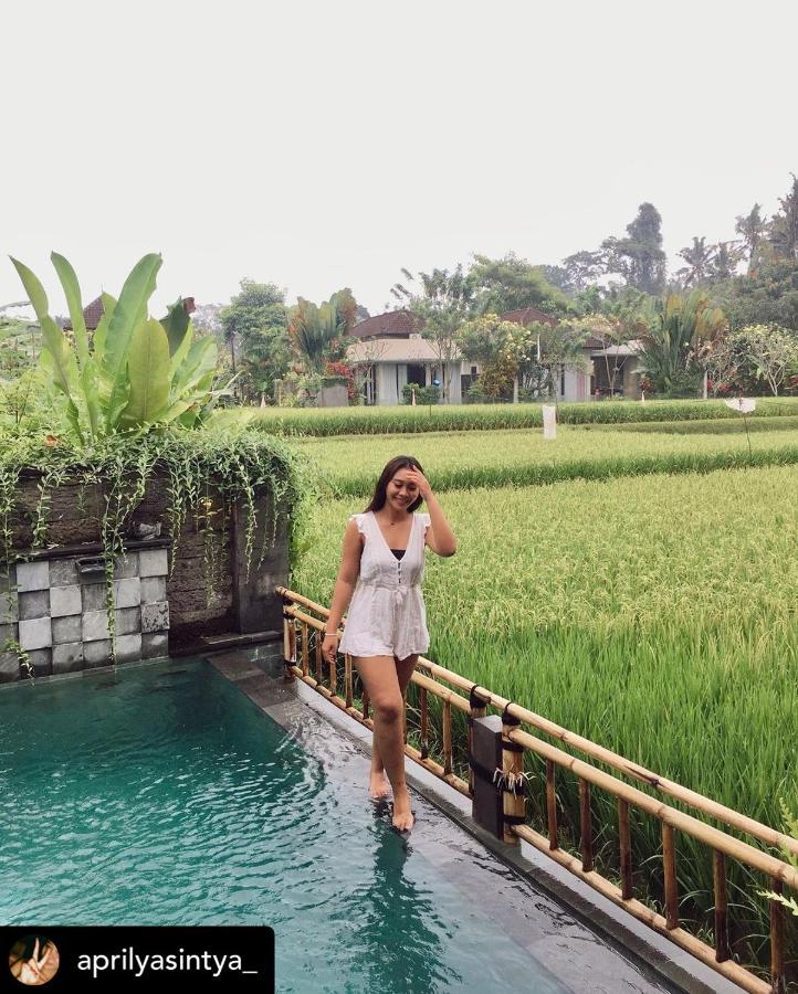 Nirankara Private Pool Villa - By Ubud Paradise Extérieur photo