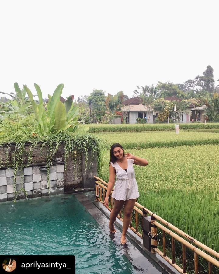 Nirankara Private Pool Villa - By Ubud Paradise Extérieur photo