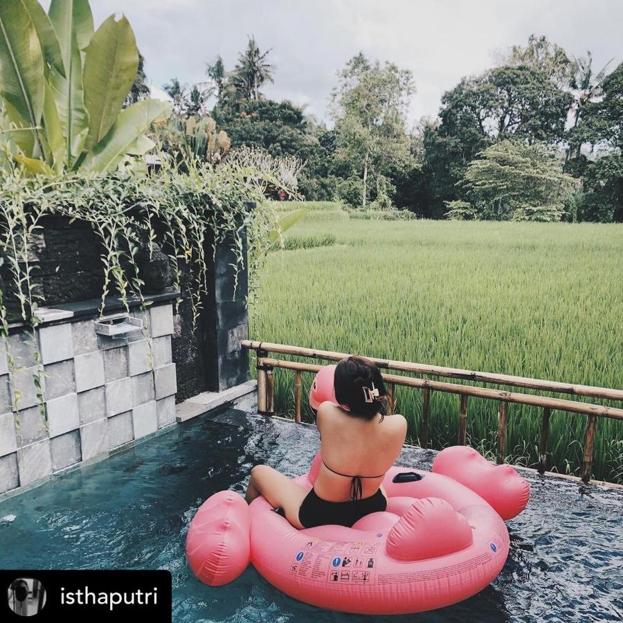 Nirankara Private Pool Villa - By Ubud Paradise Extérieur photo